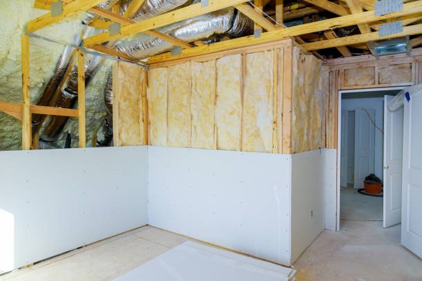 Insulation Air Sealing in West Lealman, FL